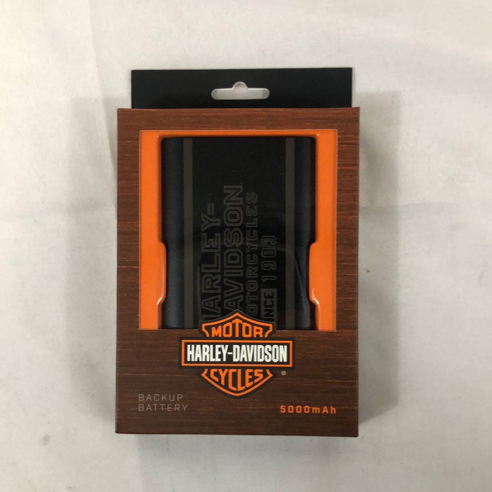 Harley-Davidson backup battery